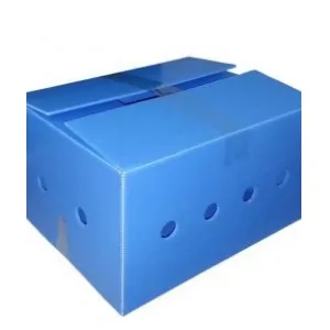Sản phẩm Thung nhua Danpla khong co nep goc — Công Ty TNHH Nhựa Tân Hợp Phát — MST 0107284481