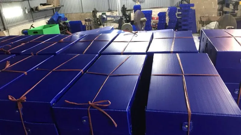 Sản phẩm f2a6369deb394d67142821 800x450 — Công Ty TNHH Nhựa Tân Hợp Phát — MST 0107284481