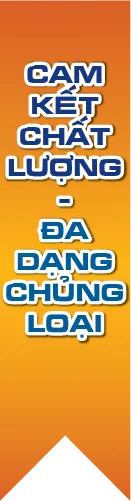 Sản phẩm quang cao phai339 — Máy Miền Bắc - Công Ty TNHH Chế Tạo Và Chuyển Giao Công Nghệ Miền Bắc — MST 0107288905