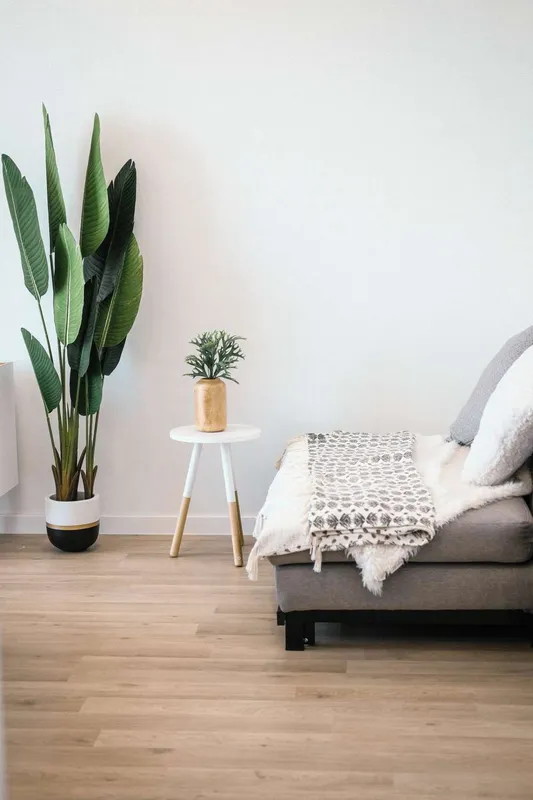Sản phẩm minh pham YAPZt8wxMO4 unsplash — Công Ty Cổ Phần Đức Phát VNC — MST 0107289063