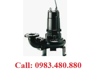 Sản phẩm bom canh cat Tsurumi C 300x244 — Công Ty Cổ Phần Matra Quốc Tế — MST 0107298981