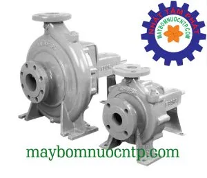 Sản phẩm bơm trục rời ebara 300x258 — Máy Bơm NTP - Công Ty TNHH Thiết Bị Công Nghiệp Nhất Tâm Phát — MST 0107332600