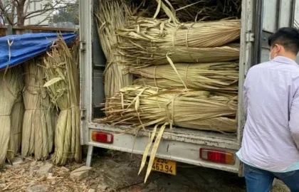 Sản phẩm  uploaded 2024_la co lop nha 2_cr_420x270 — Công Ty TNHH Xây Dựng Nội Thất Tre Việt — MST 0107341891
