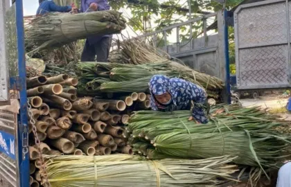 Sản phẩm  uploaded 2024_la co lop nha 3_cr_420x270 — Công Ty TNHH Xây Dựng Nội Thất Tre Việt — MST 0107341891