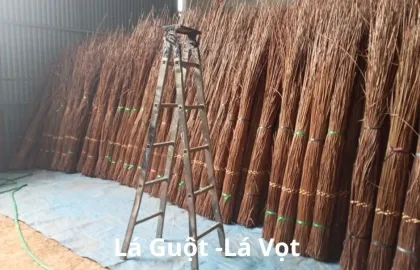 Sản phẩm  uploaded 2024_la guot 1_cr_420x270 — Công Ty TNHH Xây Dựng Nội Thất Tre Việt — MST 0107341891