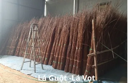 Sản phẩm  uploaded 2024_la guot14_cr_420x270 — Công Ty TNHH Xây Dựng Nội Thất Tre Việt — MST 0107341891