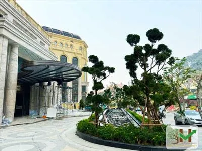 Sản phẩm Thumb_2025061021583_65099 — Công Ty Cổ Phần Dịch Vụ Và Sản Xuất Sơn Kim Việt Nam — MST 0107351360