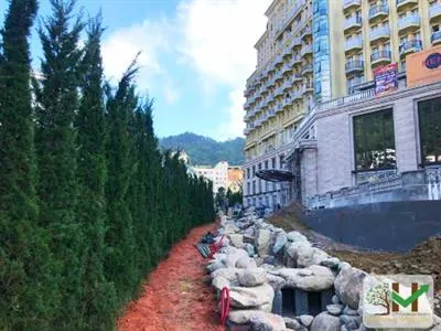 Sản phẩm Thumb_2025061022028_73647 — Công Ty Cổ Phần Dịch Vụ Và Sản Xuất Sơn Kim Việt Nam — MST 0107351360