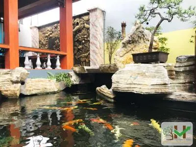 Sản phẩm Thumb_2025070122321_02565 — Công Ty Cổ Phần Dịch Vụ Và Sản Xuất Sơn Kim Việt Nam — MST 0107351360