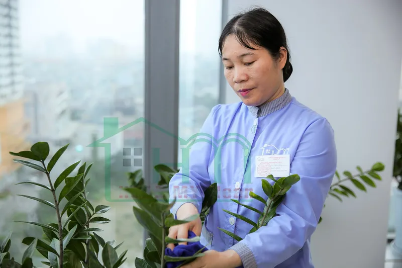 Sản phẩm KT905447 min — Công Ty TNHH Kinh Doanh Và Dịch Vụ Hoàn Mỹ — MST 0107356425