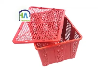 Sản phẩm ro ot 7kg_2_small — Công Ty Cổ Phần Nhựa Phú Hòa An — MST 0107357940