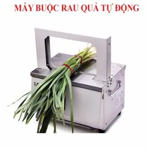 Sản phẩm may buoc rau qua tu dong ks g03_300x300 — Công Ty CP TM Toàn Cầu Thiên An — MST 0107359289