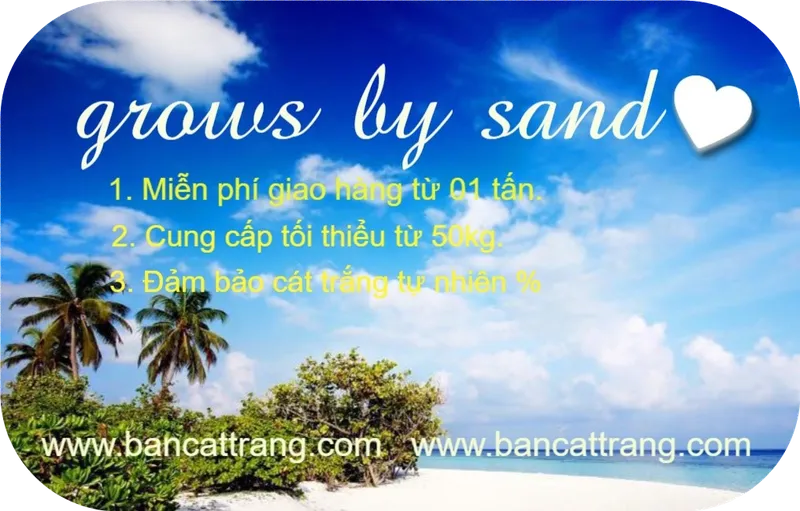 Sản phẩm d1image — Công Ty TNHH MTV Cát Trắng Việt Nam — MST 0107378884