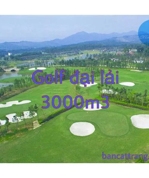 Sản phẩm 3.1 1 500x600 — Công Ty TNHH MTV Cát Trắng Việt Nam — MST 0107378884