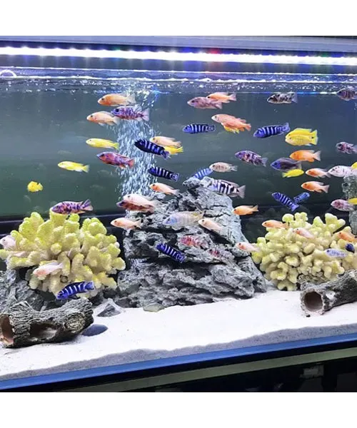Sản phẩm 3.3 1 500x600 — Công Ty TNHH MTV Cát Trắng Việt Nam — MST 0107378884