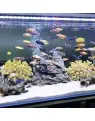 Sản phẩm 3.3 1 95x121 — Công Ty TNHH MTV Cát Trắng Việt Nam — MST 0107378884