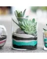 Sản phẩm 3.5 1 95x121 — Công Ty TNHH MTV Cát Trắng Việt Nam — MST 0107378884