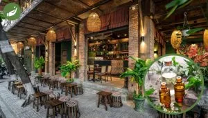Sản phẩm bat mi 8 loai tinh dau cho quan cafe duoc ua chuong nhat hien nay e1695971648268 300x171 — VIPSEN - Công Ty CP Tinh Dầu Thiên Nhiên Hà Nội — MST 0107407609
