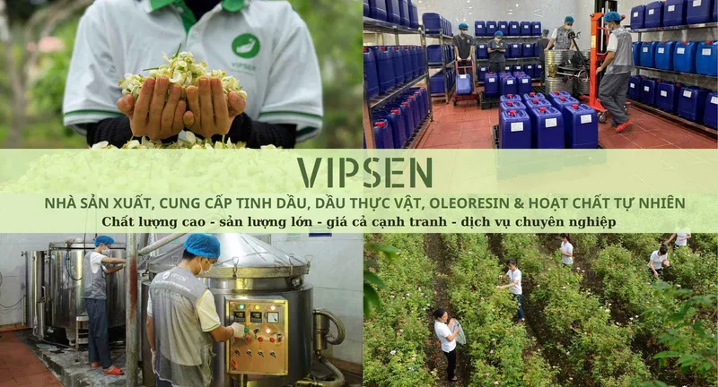 Sản phẩm TINHDAUHANOI 2 1_11zon — VIPSEN - Công Ty CP Tinh Dầu Thiên Nhiên Hà Nội — MST 0107407609
