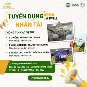 Sản phẩm moi nhat tuyen dung 2026 01 300x300 — Công Ty CP Dược Liệu Và Thực Phẩm Việt Nam — MST 0107409148