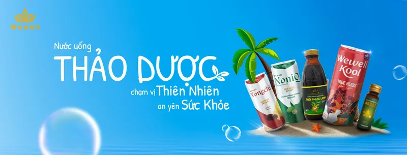Sản phẩm anh nen — Công Ty CP Dược Liệu Và Thực Phẩm Việt Nam — MST 0107409148
