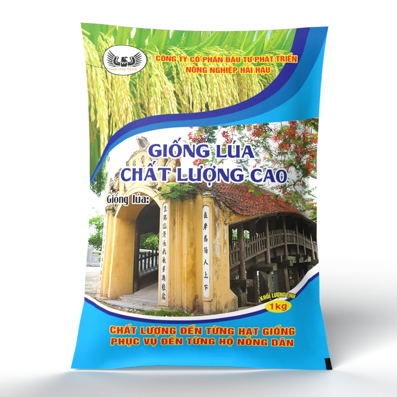 Sản phẩm tui giong — Màng In Chuyển Nhiệt Tâm Thành - Công Ty Cổ Phần Công Nghiệp Tâm Thành — MST 0107418248