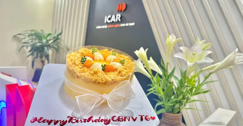 Sản phẩm ngay dong long luong ve tay happy lunch lien tay sinh nhat cuc chay 11 — Công Ty TNHH ICAR Việt Nam — MST 0107422854