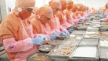 Sản phẩm 11_Baohaiquan_vn 1 360x204 — Công Ty TNHH Pentiger Việt Nam — MST 0107433743
