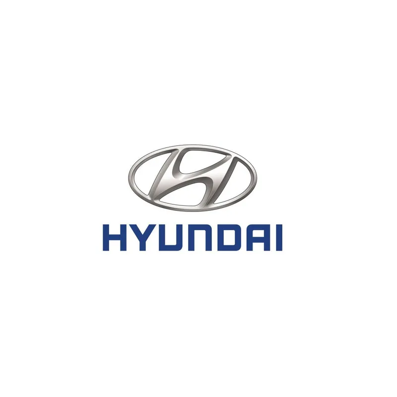 Sản phẩm hyundai — Băng Tải VNPMA - Công Ty TNHH Cơ Khí Chính Xác Và Tự Động Hóa Việt Nam — MST 0107434803
