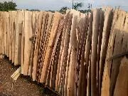 Sản phẩm thumb_product_1373427828 — Gỗ Dán Thuận Phát Quốc Tế - Công Ty TNHH Thuận Phát Quốc Tế — MST 0107440123