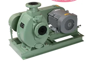 Sản phẩm Anh chup man hinh 2026 05 25 164615 — Hệ Thống Xử Lý Khí Thải, Tháp Xử Lý Khí Thải GH - Công Ty TNHH Thiết Bị Công
Nghiệp Và Xây Dựng GH — MST 0107457818