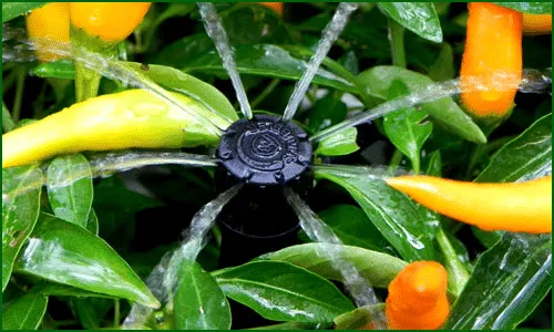 Sản phẩm Van dien tu trong he thong tuoi cay tu dong — Cửa Hàng Khí Nén Tuấn Cường — MST 0107464861