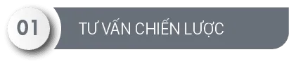 Sản phẩm Adina Vietnam Tu van chien luoc — Công Ty TNHH Giải Pháp Thương Hiệu Adina Việt Nam — MST 0107467125