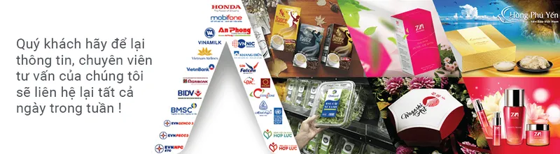 Sản phẩm Dich vu thiet ke bao bi Adina Viet Nam 11 — Công Ty TNHH Giải Pháp Thương Hiệu Adina Việt Nam — MST 0107467125