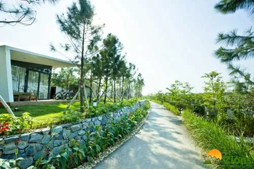 Sản phẩm canh quan nghi duong — Công Ty TNHH Zions Việt — MST 0107469926