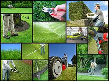 Sản phẩm dich vu cham soc canh quan san vuon — Công Ty TNHH Zions Việt — MST 0107469926