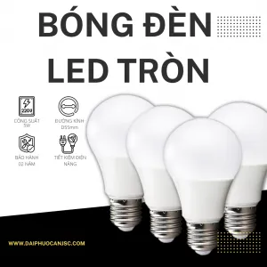 Sản phẩm 2 4 300x300 — Công Ty TNHH Sản Xuất Thương Mại Đại Phước An — MST 0107489104