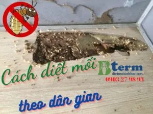 Sản phẩm Cach diet moi theo dan dan 300x225 — Công Ty TNHH BioKlean Việt Nam — MST 0107499367