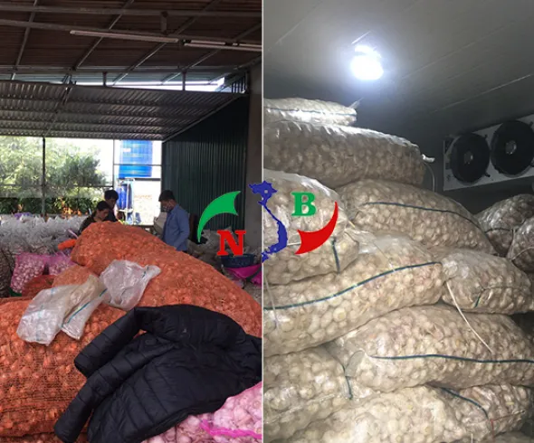 Sản phẩm 51484_590x490 — Công Ty Cổ Phần Cơ Điện Lạnh Nam Bắc — MST 0107504151