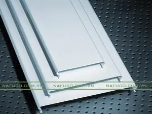 Sản phẩm C100 300x225 — Công Ty Cổ Phần Đầu Tư Phát Triển Nam Phúc — MST 0107509921