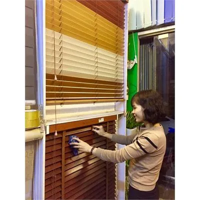 Sản phẩm 53 rem cua 3 — Rèm Cửa Thùy Dung - Công Ty TNHH Thương Mại Dịch Vụ Thùy Dung — MST 0107512508