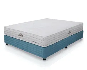 Sản phẩm acness official1 300x240.png — Công Ty TNHH Đầu Tư Thương Mại Và Dịch Vụ Phương Huy — MST 0107512642