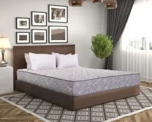 Sản phẩm dem song song 2019 3 300x240.jpg — Công Ty TNHH Đầu Tư Thương Mại Và Dịch Vụ Phương Huy — MST 0107512642