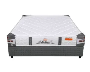 Sản phẩm 4303dem lo xo tui adaptive 1 300x240.png — Công Ty TNHH Đầu Tư Thương Mại Và Dịch Vụ Phương Huy — MST 0107512642
