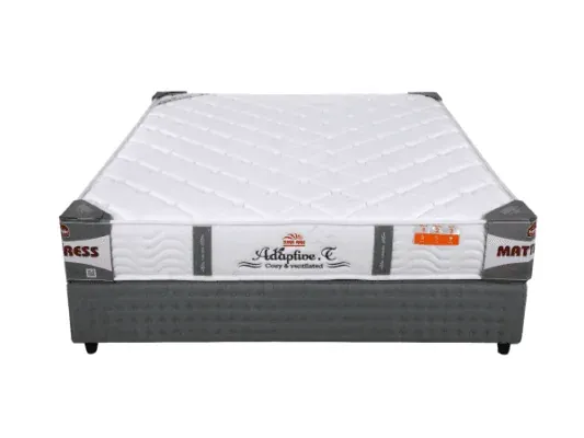 Sản phẩm 4303dem lo xo tui adaptive 1 600x450 1 533x400.png — Công Ty TNHH Đầu Tư Thương Mại Và Dịch Vụ Phương Huy — MST 0107512642