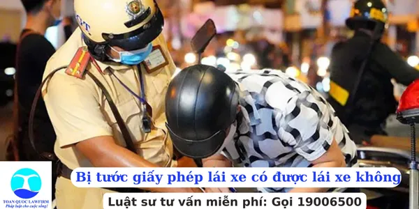 Sản phẩm Bị tước giấy phép lái xe có được lái xe không — Công Ty TNHH Dịch Vụ Tư Vấn Toàn Quốc — MST 0107525271