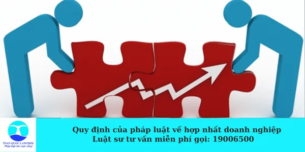 Sản phẩm Những điều cần biết về hợp nhất doanh nghiệp — Công Ty TNHH Dịch Vụ Tư Vấn Toàn Quốc — MST 0107525271