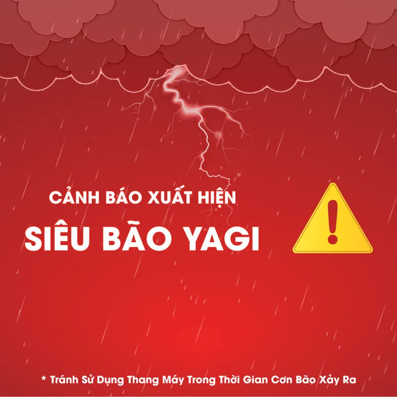 Sản phẩm bao yagi 1024x1024 — Văn Phòng Phú Quốc - Công Ty Cổ Phần Thang Máy Xuất Nhập Khẩu Rolex — MST 0107527198