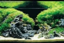 Sản phẩm be da xanh 220x150 — Công Ty CP Đầu Tư Và Phát Triển Thương Mại Thái Hòa — MST 0107554868