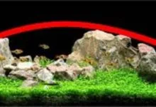 Sản phẩm tha hai ben cao chinh giua 220x150 — Công Ty CP Đầu Tư Và Phát Triển Thương Mại Thái Hòa — MST 0107554868